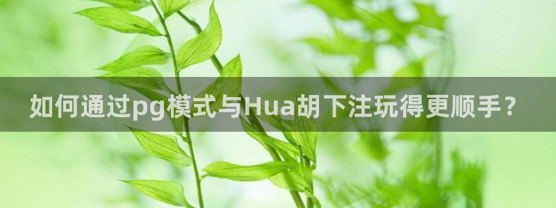 如何通过pg模式与Hua胡下注玩得更顺手？