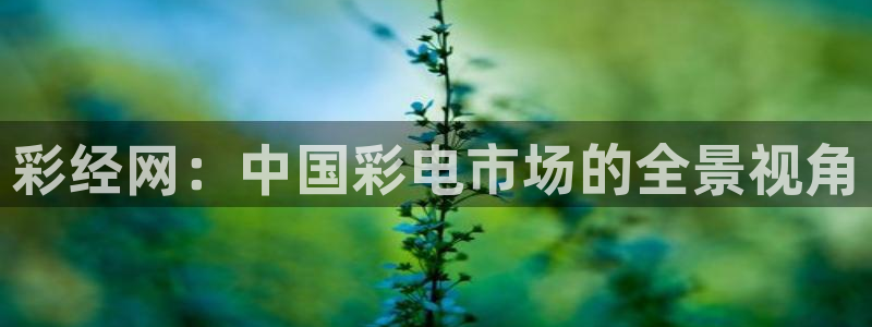 u8国际平台：彩经网：中国彩电市场的全景视角
