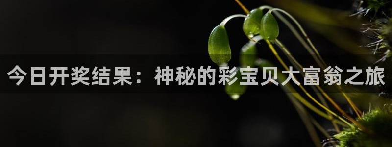 u8国际网站特惠活动上线.游戏新版更新.中国：今日开奖结果：神秘的彩宝贝大富翁之旅
