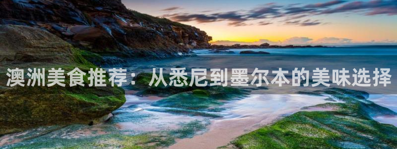 u8国际官网：澳洲美食推荐：从悉尼到墨尔本的美味选择