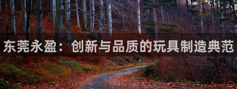 u8国际平台：东莞永盈：创新与品质的玩具制造典范
